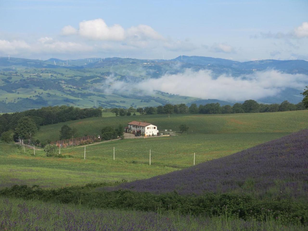 Agriturismo Il Riccio Monticchio  Eksteriør billede
