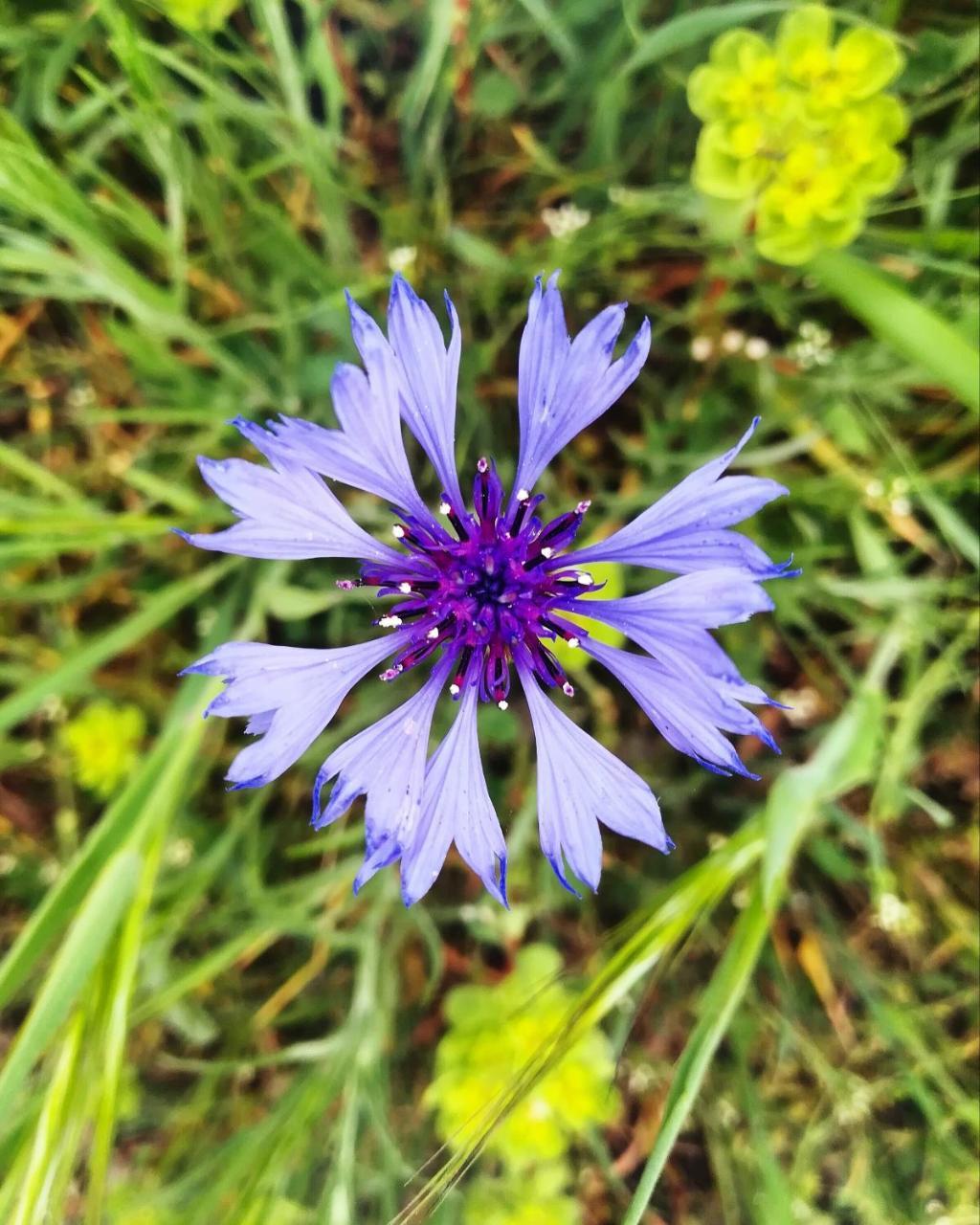 Agriturismo Il Riccio Monticchio  Eksteriør billede