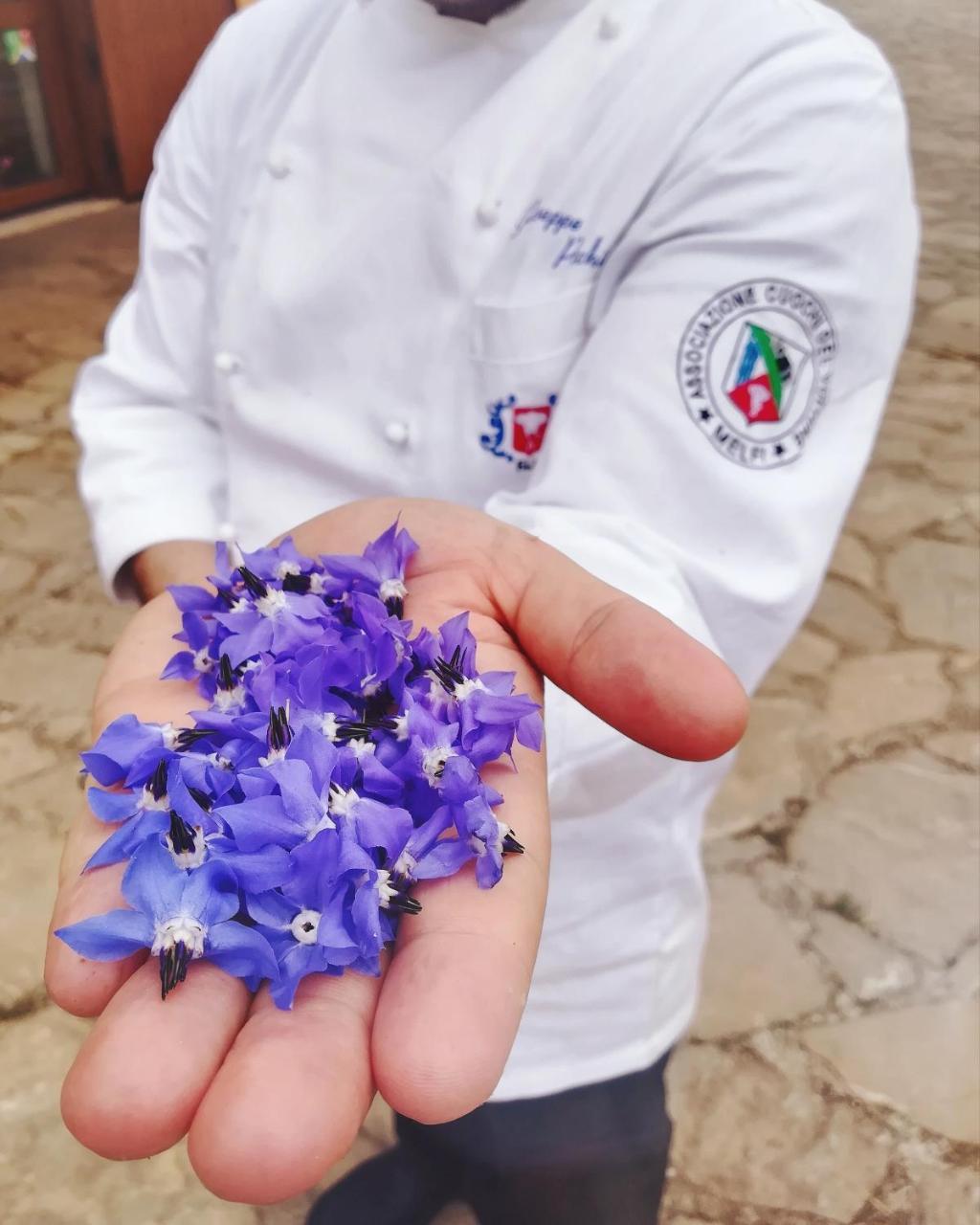 Agriturismo Il Riccio Monticchio  Eksteriør billede