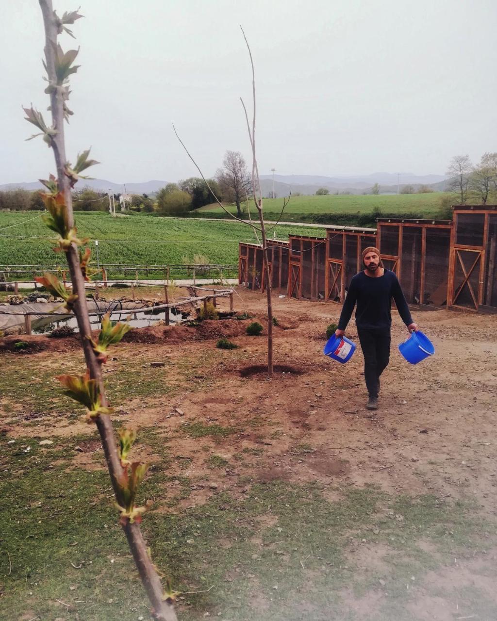 Agriturismo Il Riccio Monticchio  Eksteriør billede